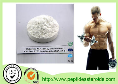 Standaardsarms de Steroïdenpoeder Ostarine mk-2866 van USP SARM-Steroïden voor Geschiktheid Bodybuilding