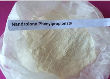 De witte Steroïden van Poedernandrolone/Durabolin Nandrolone Phenylpropionate CAS 62-90-8
