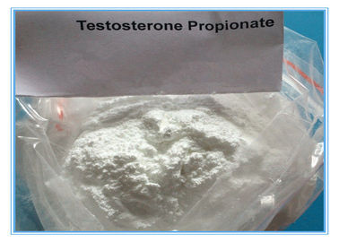 Van de Testpropinoate van CAS 57-85-2 van het testosteronpoeder de Injectiesteroïden