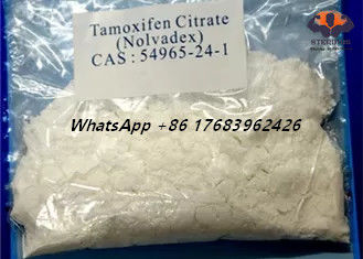 Blocker van het het Citraatoestrogeen van CAS 54965-24-1 Nolvadex Tamoxifen Steroïden Wit Kristallijn Poeder
